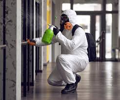 Why You Should Choose Our Mold Remediation Services in Pierce City, MO